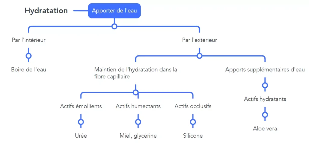 Carte mentale hydratation du cheveu
L'hydratation du cheveu