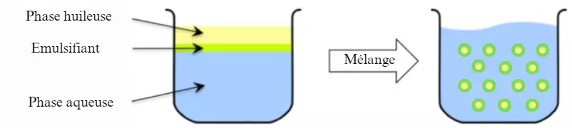 émulsion crème capillaire